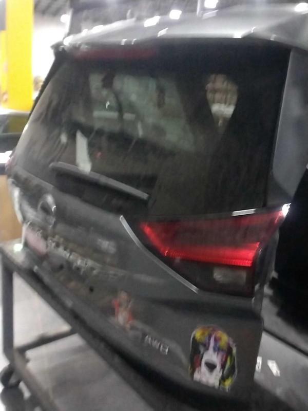 Used Deck Lid fits: 2023 Nissan Rogue rear view camera S model US built Grade A