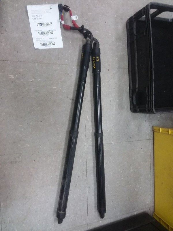 Pair Of Power Liftgate Struts Pistons Fits 16-20 Infiniti QX60 905609NJ0A
