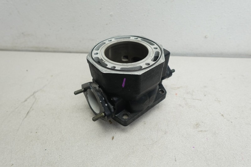 2001-2003 Arctic Cat Mountain Cat 800 OEM Engine Motor Cylinder Bore Jug