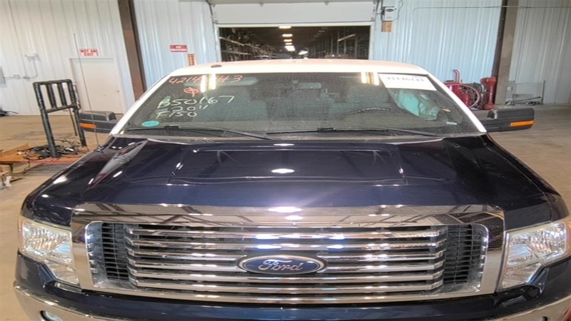 Hood Fits 09-14 FORD F150 PICKUP 3504043