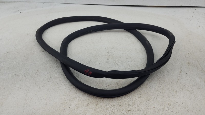 2020-2025 FORD ESCAPE REAR RIGHT SIDE DOORWAY WEATHERSTRIP SEAL OEM
