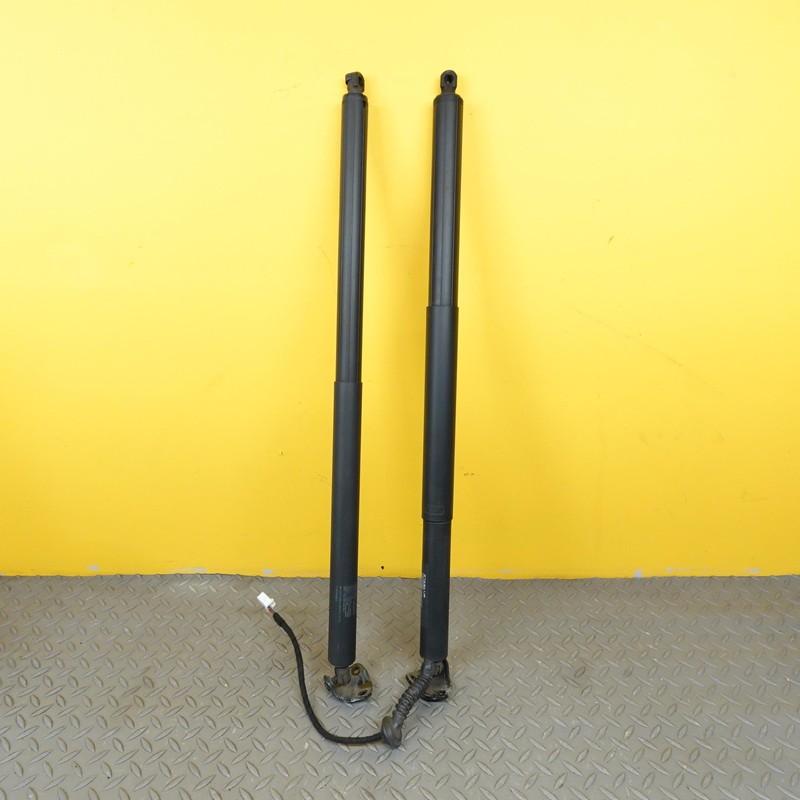 2016-2020 TESLA MODEL X SET REAR LEFT RIGHT TRUNK LID SHOCK STRUT OEM 106566400A