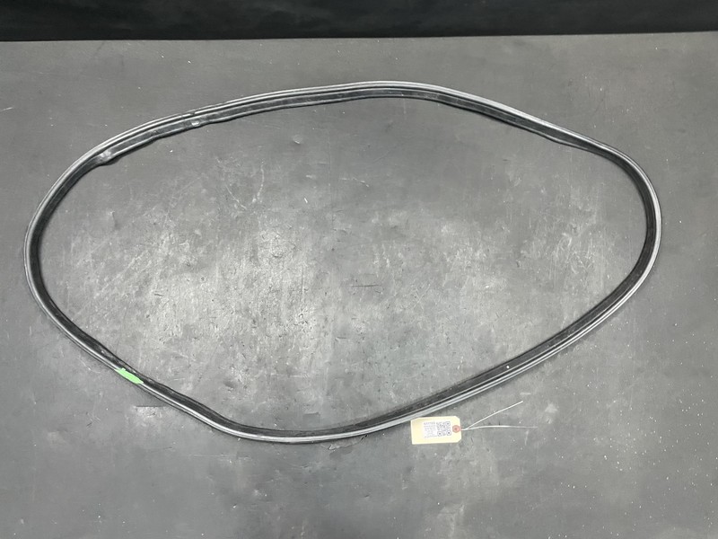 Rear Trunk Deck Lid Weatherstrip 2019 Nissan Sentra 84830-9AN0A 2015 2016 - 2019