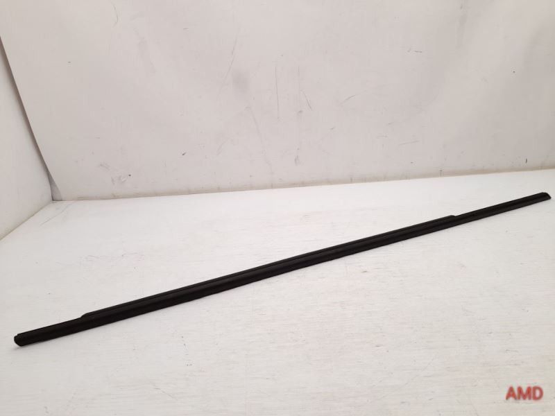 2014 BMW 320i 328i 335i 340i 330i F30 F31 Front Right Door Channel Trim Black