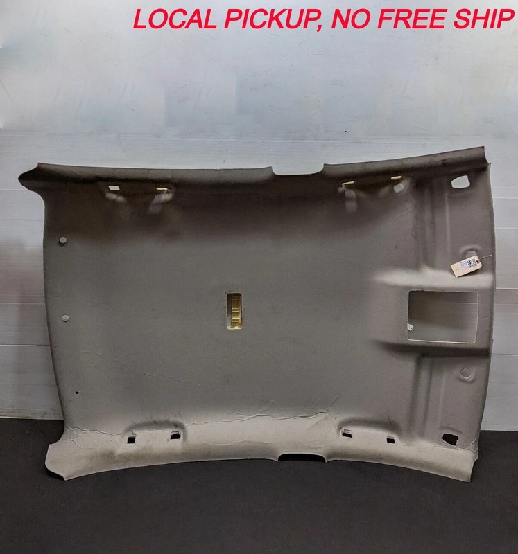 Interior Roof Headliner 2020 Nissan Sentra 739B0-6LB2A 2021 2022 2023 - 2025 X