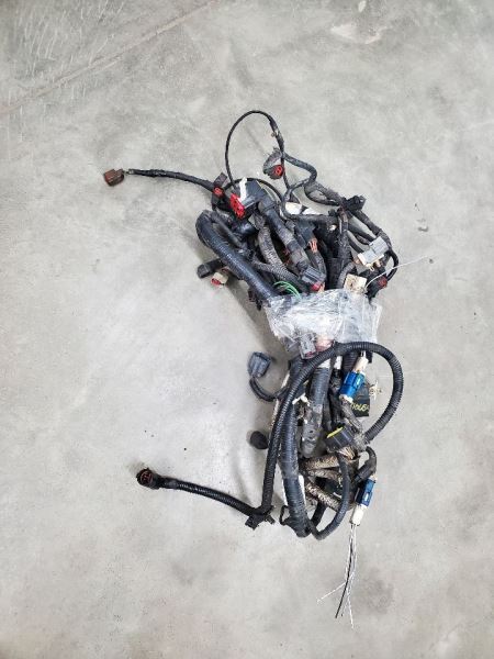 EXPEDITON 2006 Engine Wire Harness 285512