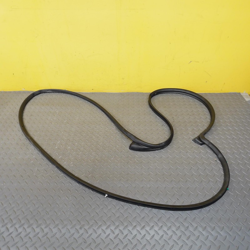 2022-2024 HYUNDAI IONIQ 5 FRONT LEFT DRIVER SIDE DOOR WEATHERSTRIP SEAL OEM