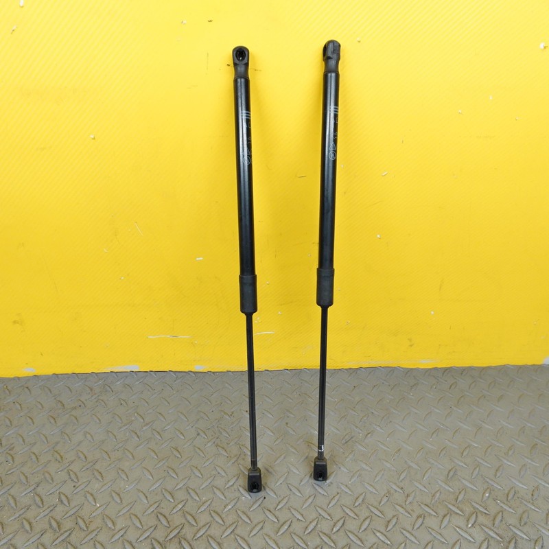2021-2024 BUICK ENVISION FRONT HOOD BONNET LIFT SUPPORT STRUT CYLINDER OEM SET 2