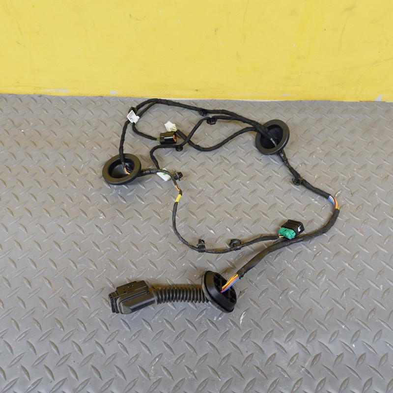 2023-2025 KIA SPORTAGE REAR LEFT DOOR WIRE WIRING HARNESS OEM 91620P1010D