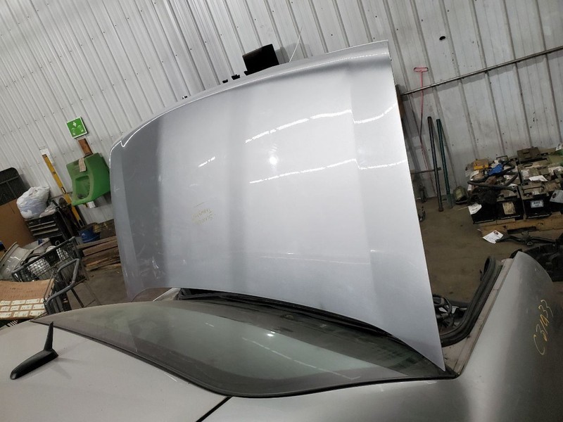 Trunk/Hatch/Tailgate Fits 00-05 LESABRE 293203