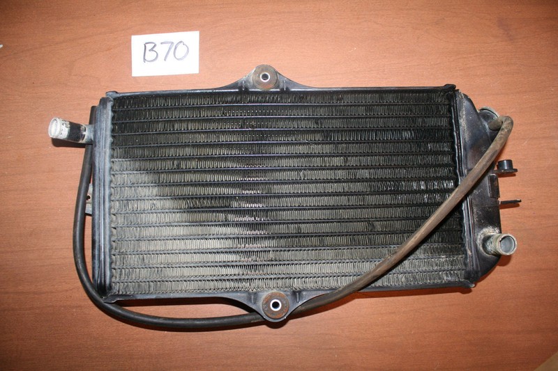 1988 Suzuki Quadracer LT250R Cooling Radiator OEM 88 A