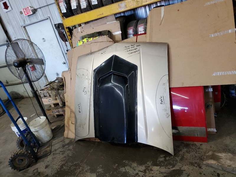 Hood Excluding Z28 Fits 82-92 CAMARO 307688