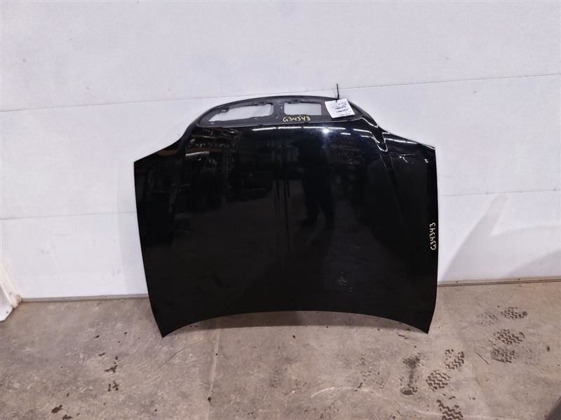 Hood Fits 03-06 LINCOLN LS 253842