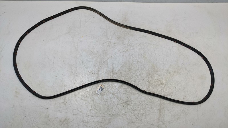 Rear Right Door Weatherstrip 2019 GMC Terrain 84679407 2018 2020