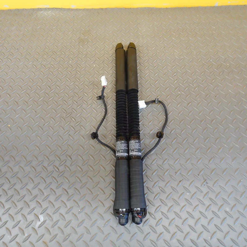 2016-2020 TESLA MODEL X REAR FALCON DOOR LIFT STRUT CYLINDER SET LEFT & RIGHT