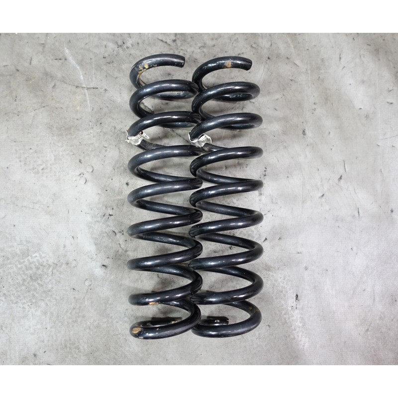2012-2015 BMW F30 3-Series Sedan Factory Rear Axle Coil Spring Pair Left Right