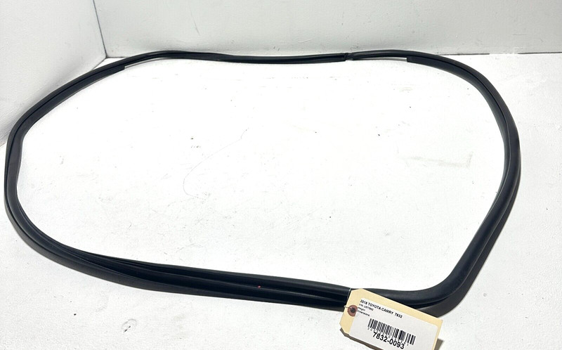 Toyota Camry LE 2018 Front Right Passenger Door Body Wheatherstrip Seal OEM