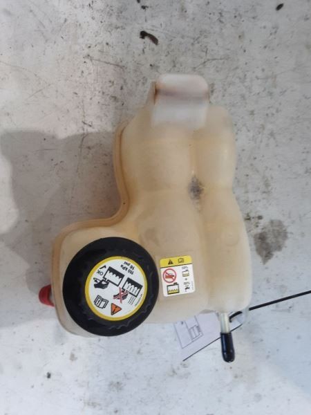Coolant Reservoir Fits 04-08 FORD F150 PICKUP 3247129