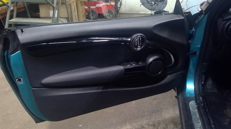 MINI COOPER 2020 Driver Left Front Door Trim Panel 1789756