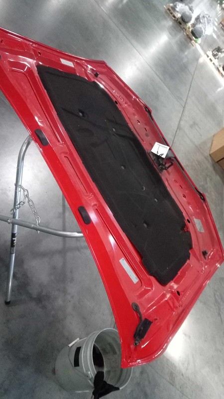 2016 AUDI A4 Hood Panel Red OEM 8K0823029H 4DR SED Used 117K Miles