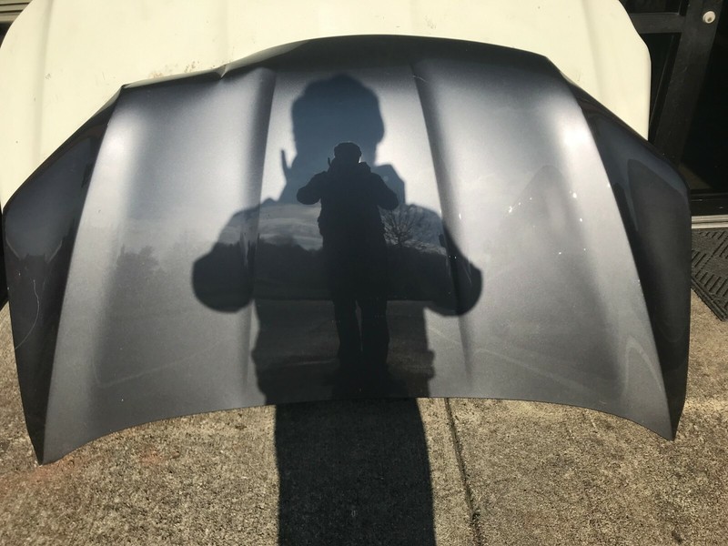 2017 HONDA ODYSSEY HOOD BONNET FACTORY OEM