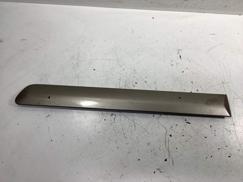 02-04 Honda CR-V Left Rear Door Protector Molding Gold OEM