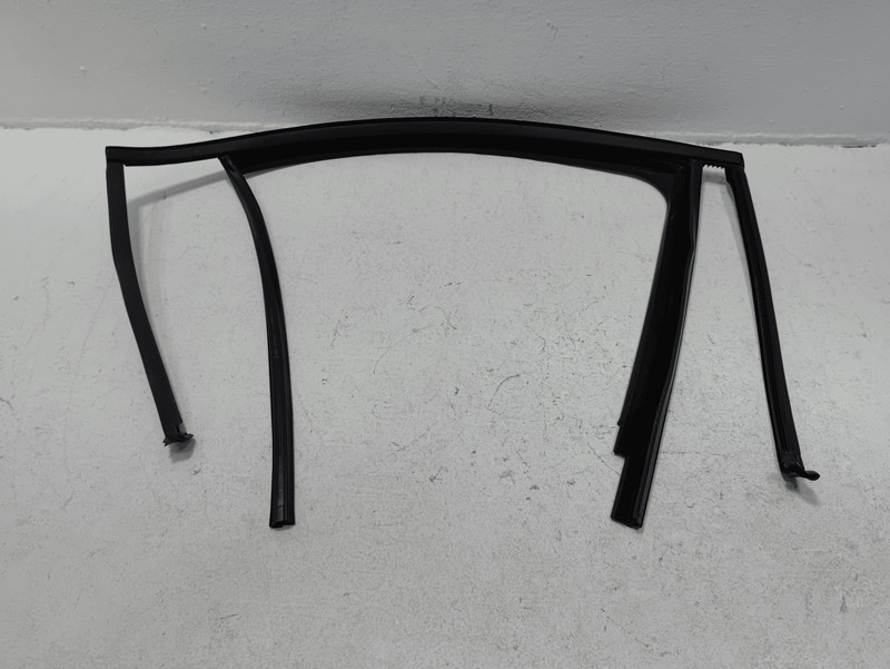 2018-2025 VOLKSWAGEN ATLAS REAR PASSENGER DOOR WINDOW GLASS RUN CHANNEL SEAL OEM
