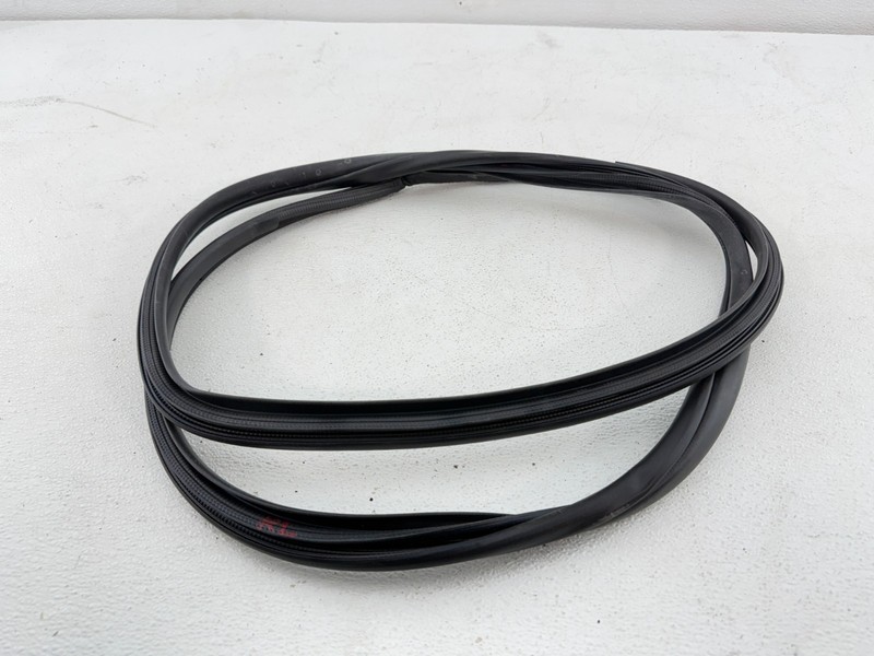 2019-2025 TOYOTA COROLLA HATCHBACK REAR LEFT SIDE DOORWAY WEATHERSTRIP SEAL OEM