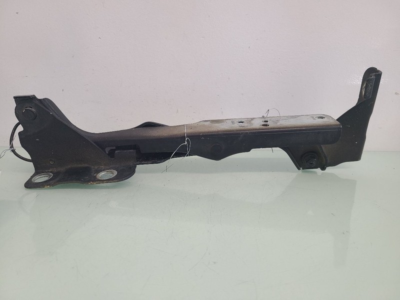 Hood Hinge Fits 2009 F150 588005