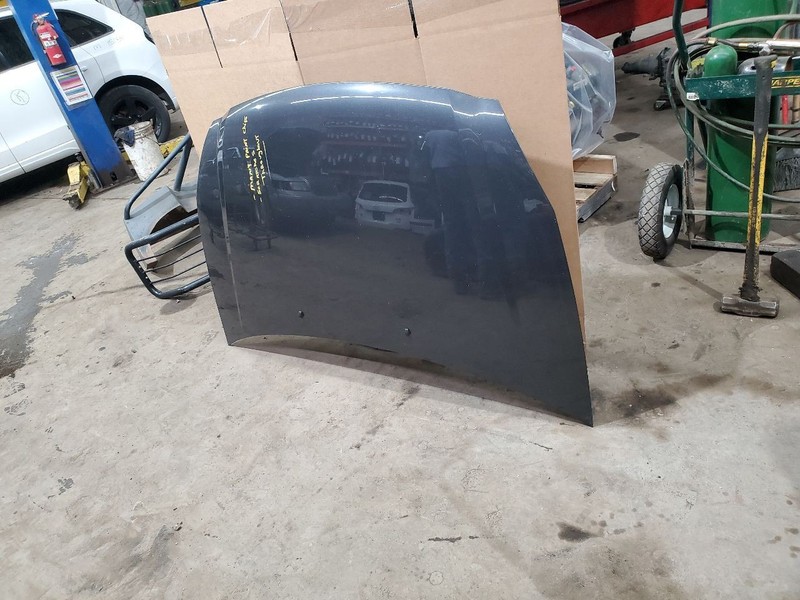 Hood Fits 06-12 14 SEDONA 308761