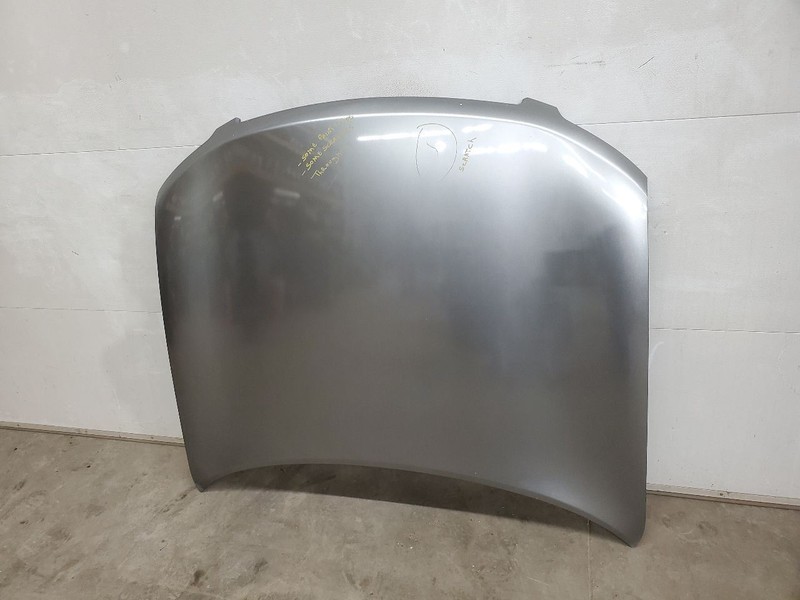 Hood Fits 03-07 INFINITI FX SERIES 290333