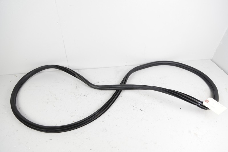 2016-2021 BMW X1 F48 REAR LEFT SIDE DOOR SHELL WEATHERSTRIP SEAL OEM