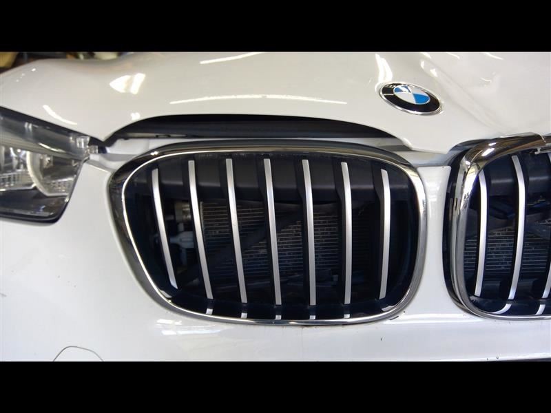 Passenger Grille Bumper Mounted Base Upper Fits 16-19 BMW X1 1343794