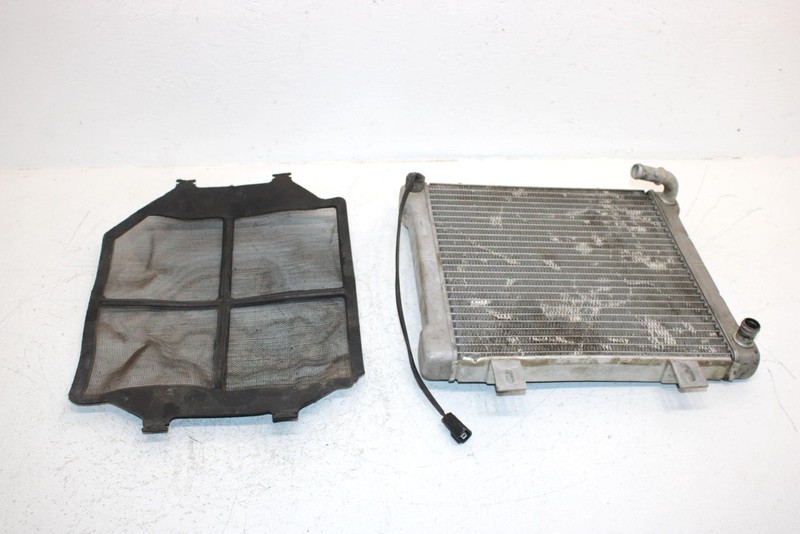 2002 Polaris Sportsman 500 Oem Radiater W/Screen 1240533 5433317 AP154