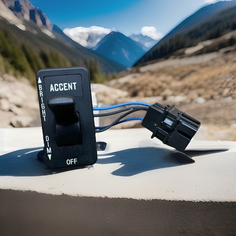 ✅ 2023 INTERNATIONAL LT ACCENT ACCESSORY LIGHT SWITCH OEM ✅