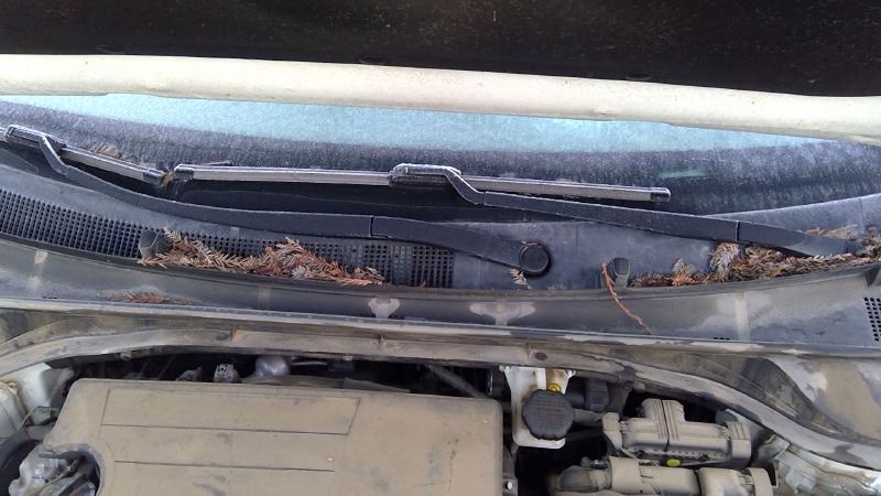 Wiper Arm KIA NIRO 18 17 19 20 21 22