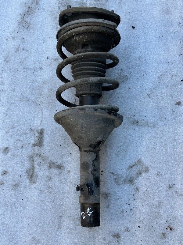 1984 1985 HONDA ACCORD SEDAN RIGHT PASSENGER SIDE FRONT STRUT SPRING