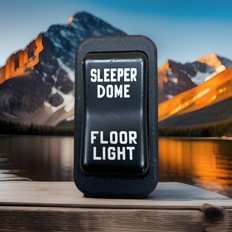 ✅ 2023 INTERNATIONAL MV SLEEPER FLOOR DOME LIGHT SWITCH 3596760C1 OEM ✅