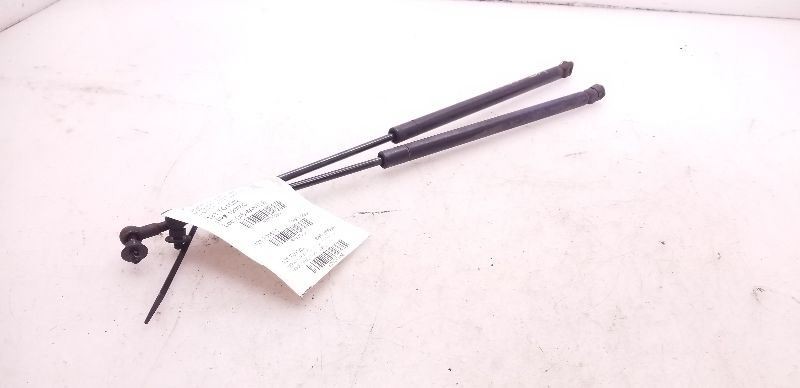 01-07 TOYOTA SEQUOIA LEFT AND RIGHT SIDES HOOD STRUT PAIR