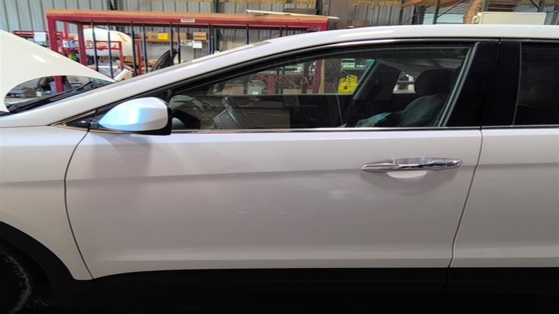 Driver Left Front Door LWB Fits 13-19 SANTA FE 3554220