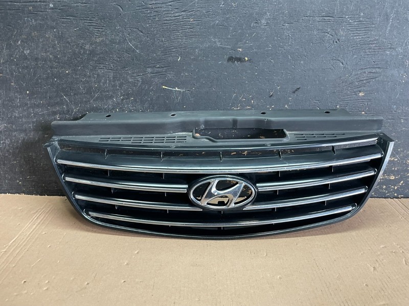 2006 to 2009 Hyundai Azera Front Upper Grill Grille W/Emblem OEMAA1925 DG