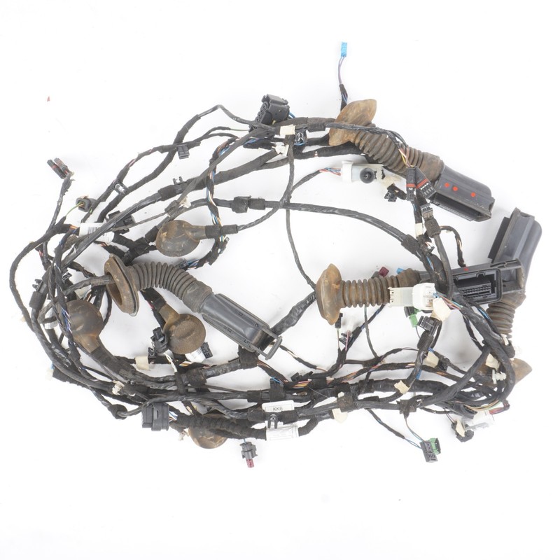 2014-2017 BMW i3 I01 Door Wire Wiring Harness Front & Rear Set Of 4 OEM
