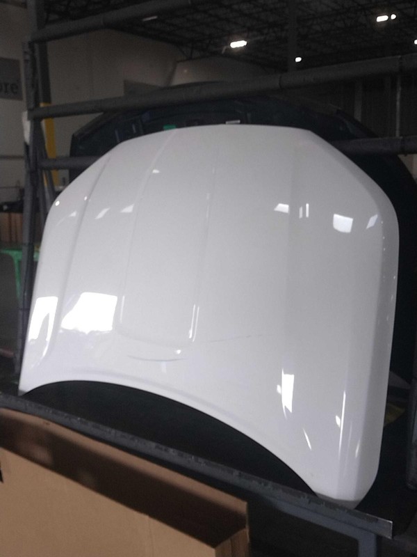 2020 GMC Terrain OEM Hood Panel White 4DR SUV 23233249 Used 77K Miles