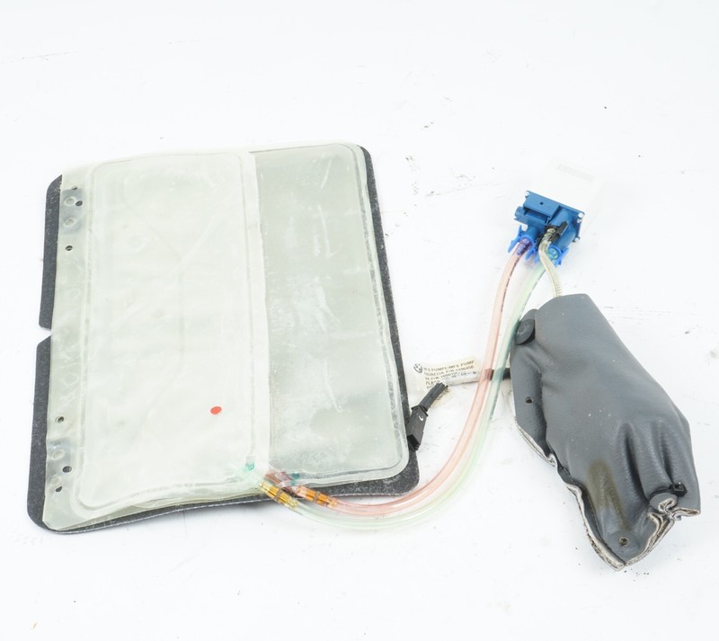 2008 - 2013 BMW X6 FRONT LEFT DRIVER SEAT BACKREST LUMBAR PAD OEM