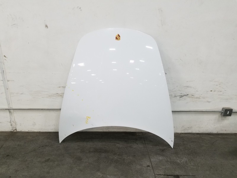 2014 Porsche 911 GT3 991.1Hood Panel - Damage #3456 Z13