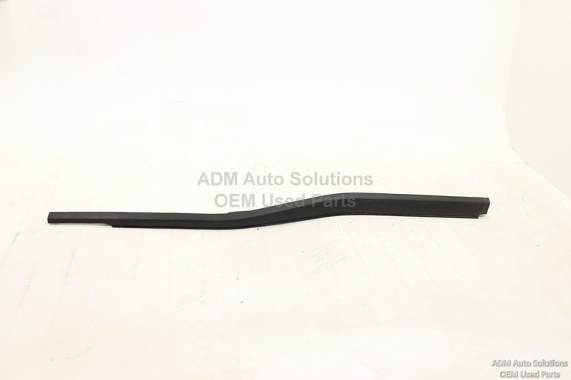 2021-2025 FORD F-150 Front Left Driver Side Door Window Belt Molding OEM