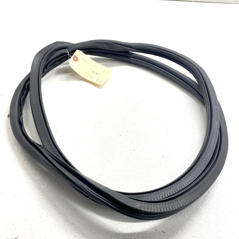VOLKSWAGEN JETTA 2019 - 2021 REAR RIGHT SIDE DOOR ON BODY WEATHERSTRIP SEAL OEM