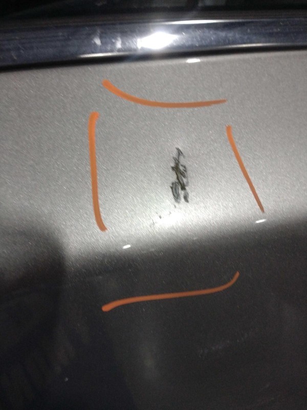 2015 Nissan Altima Rear Right Door Tan Used OEM 57657 - Scratch Damage