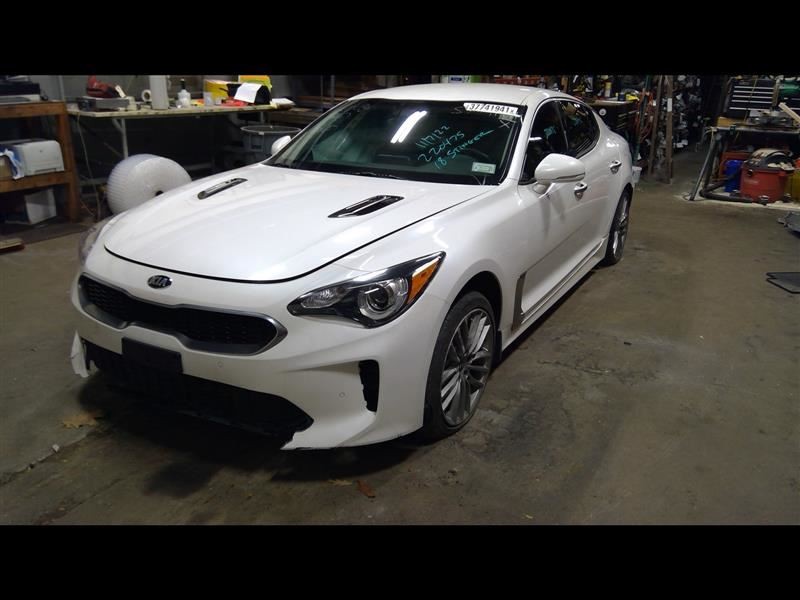 Blower Motor Fits 18-20 STINGER 1017032