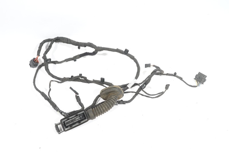 2021 - 2024 BMW 228I F44 REAR RIGHT PASSENGER SIDE DOOR WIRE WIRING HARNESS OEM